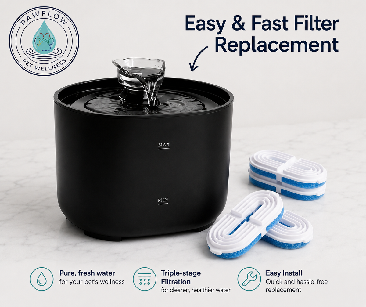 PawFlow™ Replacement Filter 3-Pack — 3 Months of Clean Water